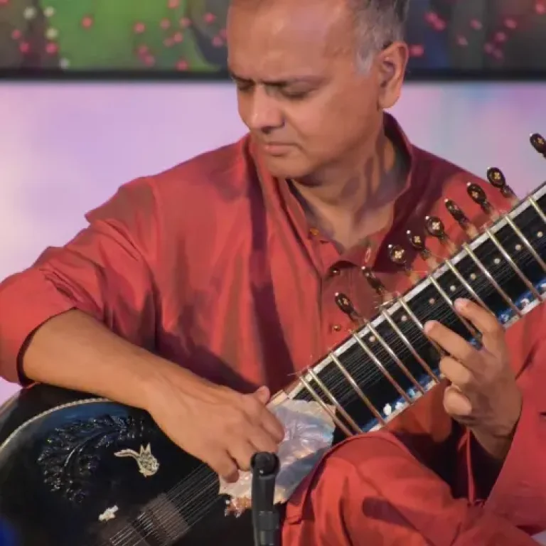 Siddharth Kishna leerde op tienjarige leeftijd de sitar bestuderen en bespelen onder leiding van Ustad Jamaluddin Bhartiya. Hij vervolgde zijn studie aan het Rotterdams Conservatorium in Nederland onder Pandit Budhaditya Mukherjee. In 2000 ontving Siddharth de Provision for Excellent Young Musicians, een beurs die door de Nederlandse overheid wordt verstrekt om de talenten van conservatoriumtopstudenten te stimuleren. Hij trad op in aanwezigheid van Hare Majesteit Koningin Beatrix in Nederland en in New Delhi, India. 